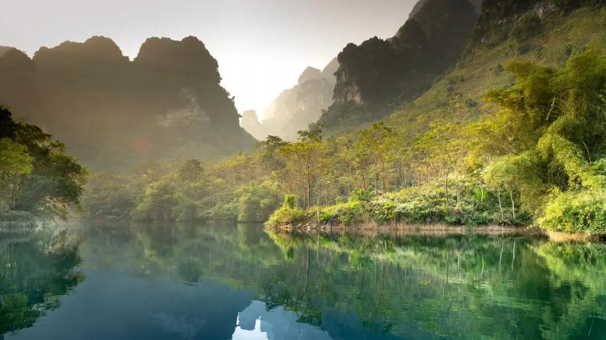 自动化可靠性可靠性